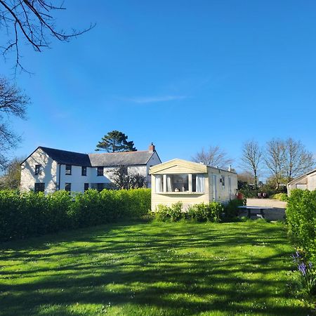 Rosebud Flower Farm Caravan Stay Countryside And Coast Penzance Exteriér fotografie