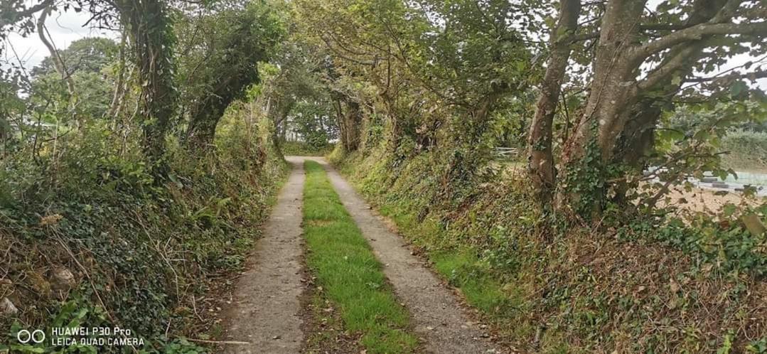 Rosebud Flower Farm Caravan Stay Countryside And Coast Penzance Exteriér fotografie