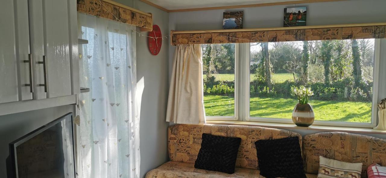 Rosebud Flower Farm Caravan Stay Countryside And Coast Penzance Exteriér fotografie